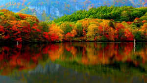 A View Of Stunning Autumnal Landscape Wallpaper