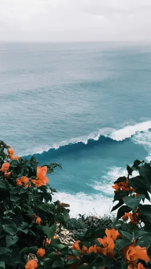 A View Of The Ocean With Orange Flowers Wallpaper