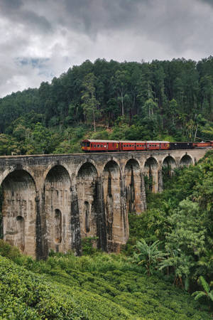 A Vintage Train In A Serene Forest Wallpaper