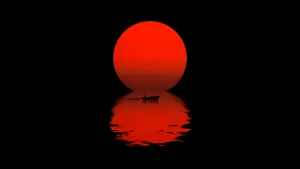 A Vivid And Beautiful Hd Amoled Wallpaper Wallpaper