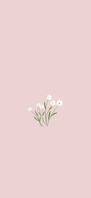 A Vivid And Beautiful Spring Landscape Wallpaper