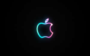 A Vivid Composite Of Dark And Light - Black Neon Hd. Wallpaper