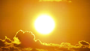 A Warm & Sunny Day Making Everything Feel Right Wallpaper