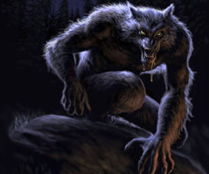 A Werewolf Lurking In The Shadows Of The Forest Wallpaper