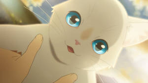 A Whisker Away Cat Taro Wallpaper