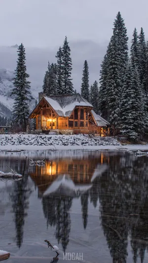 A Winter Wonder In The Snow-covered Landscape Wallpaper