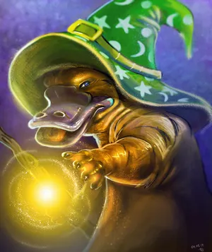 A Wizard And His Platypus Wallpaper
