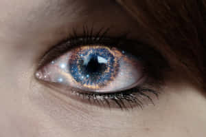 A Woman's Eye With A Blue And White Iris Wallpaper