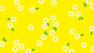 A Yellow Background With White Daisies On It Wallpaper
