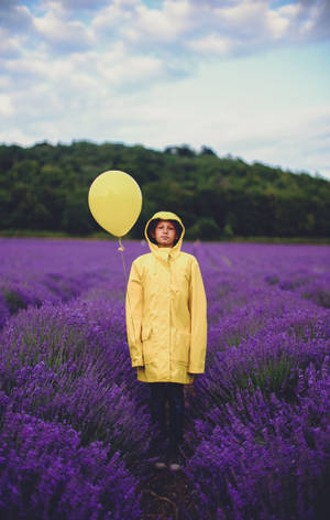 A Young Boy Gazing At A Beautiful Field Of Lavender Wallpaper