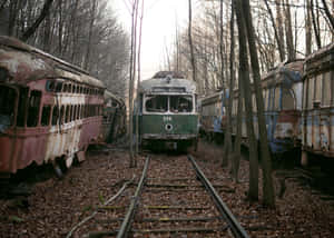 Abandoned Train Graveyard Wallpaper