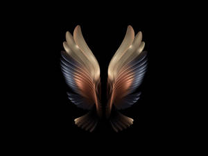 Abstract Bird Wings Wallpaper