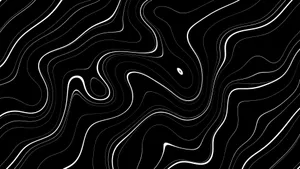 Abstract Blackand White Wave Pattern4 K Wallpaper