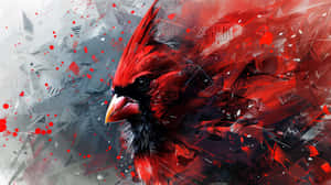 Abstract Cardinal Artwork Wallpaper