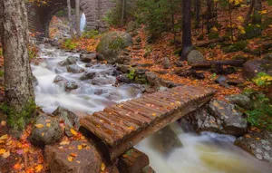 Acadia National Park Bridge Wallpaper