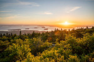 Acadia National Park Cadillac Mountain Wallpaper