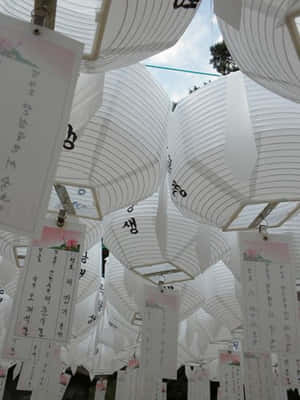 Achieve A Refined Zen Aesthetic With Japanese White Design Wallpaper