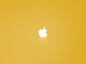 Add A Pop Of Color To Your Desktop With This Fun Yellow Wallpaper Wallpaper