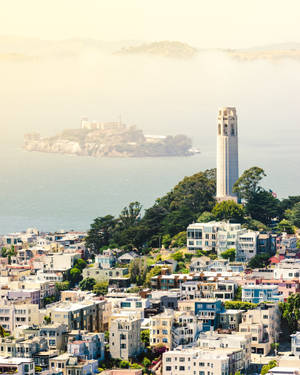 Admiring The Magnificent View Of San Francisco's Coit Tower Wallpaper