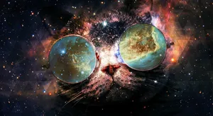 Adorable Cat Snuggled In A Galaxy Of Dreams Wallpaper