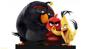 Adorable Characters From The Angry Birds Movie 2. Wallpaper