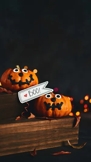 Adorable Pumpkin In A Field Wallpaper