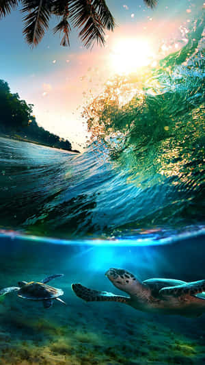 Adorable Sea Turtles Tropical Iphone Wallpaper