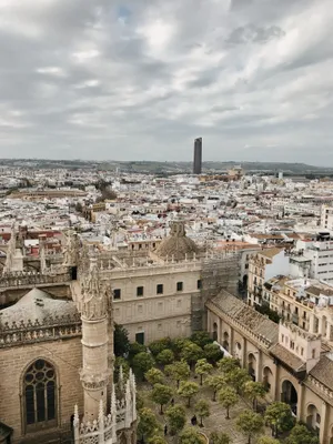 Aerial Photo Of Seville Cathedral Wallpaper