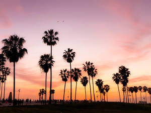 Aerial View Of Sunset In Los Angeles Wallpaper