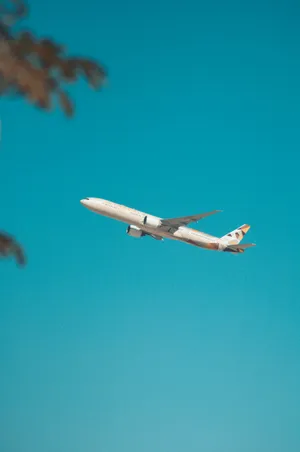 Aeroplane Clear Blue Sky Wallpaper