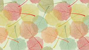 Aesthetic Autumn Leaves Colors Wallpaper