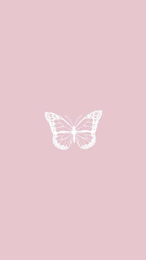 Aesthetic Baby Pink Butterfly Wallpaper