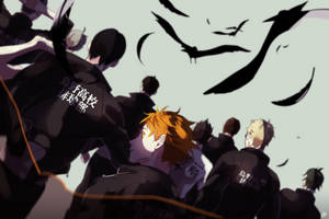 Aesthetic Black Haikyuu Teams Wallpaper