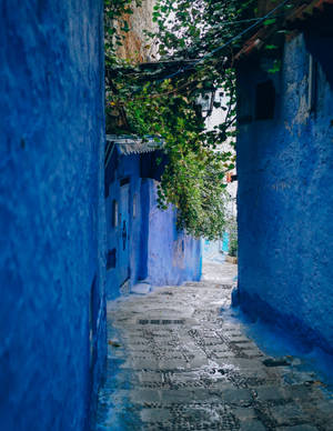 Aesthetic Blue Alley Wallpaper