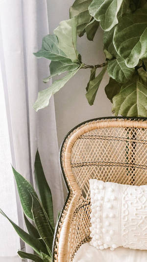 Aesthetic Boho Wicker Chair Wallpaper