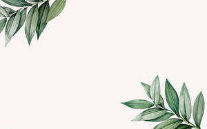 Aesthetic Botanical Leaves Plants Vector Wallpaper