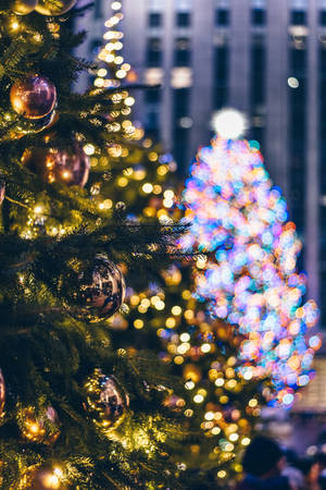 Aesthetic Christmas Tree Wallpaper