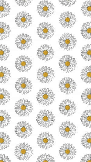 Aesthetic Daisy Pattern Drawing Wallpaper