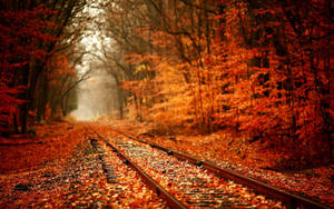 Aesthetic Fall Railroad Wallpaper