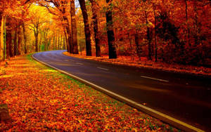 Aesthetic Fall Roadside Wallpaper