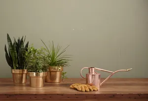 Aesthetic Home Corner With Three Vases Wallpaper