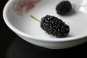 Aesthetic Image Boysenberry Wallpaper