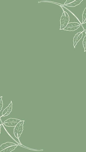 Aesthetic Instagram Minimalist Sage Green Wallpaper