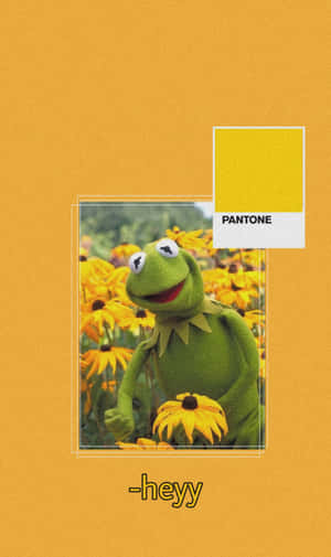 Aesthetic Kermit In Sunflowers Field Wallpaper