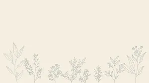 Aesthetic Line Drawing Leaves Minimalist Plant Desktop Wallpaper