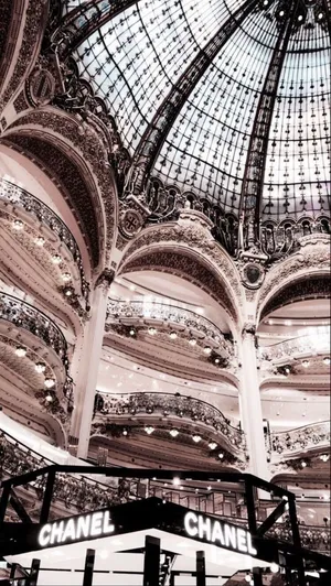 Aesthetic Luxury Design Wallpaper