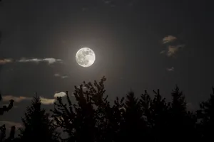 Aesthetic Moon In Silent Night Wallpaper