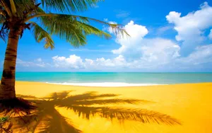 Aesthetic Ocean Beach With Golden Sand Wallpaper