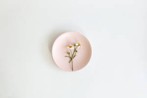 Aesthetic Pink Desktop Plate And Flower Wallpaper