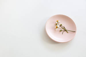 Aesthetic Pink Desktop Plate And Flowers Wallpaper